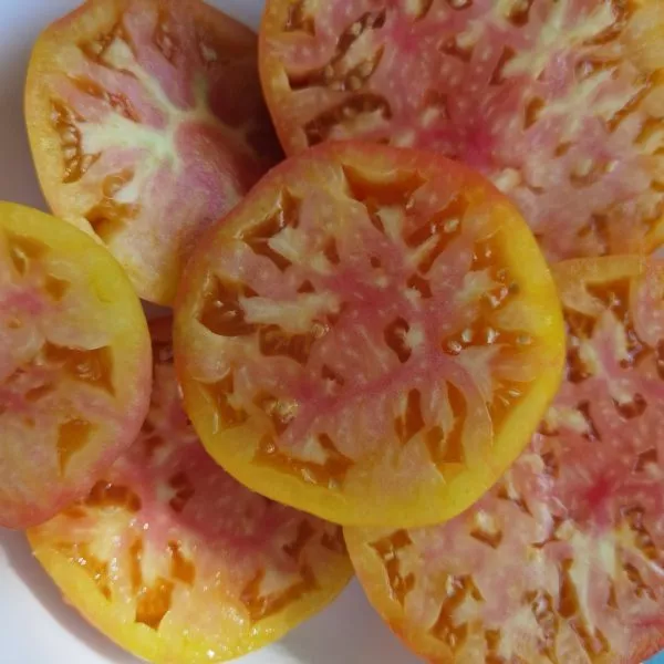 serdtse-mineya-1-174392