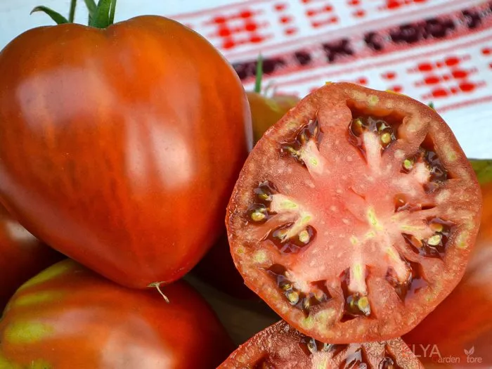 serdtse-mineya-6-174392