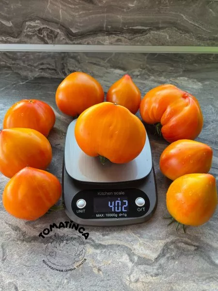 serdtse-mineya-main-174392