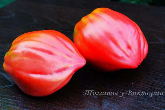 serdtse-mordovii-7-176600