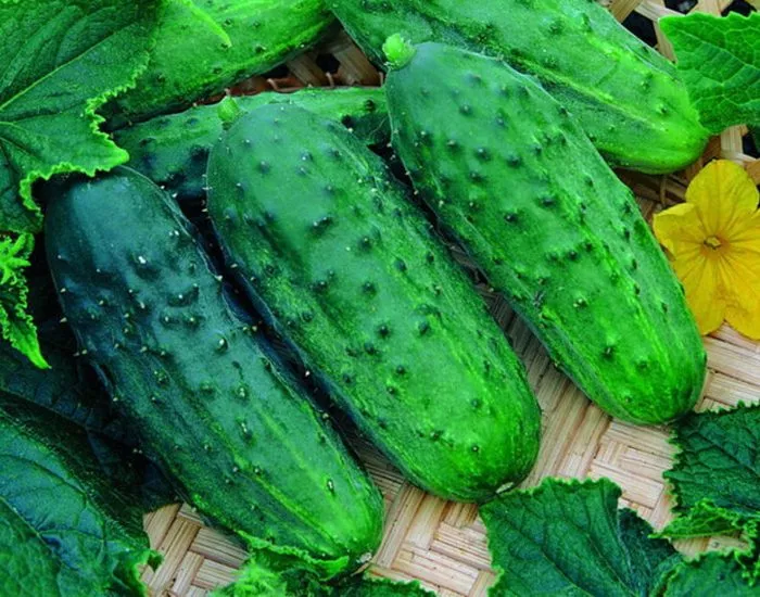 sestritsa-alenushka-3-192724