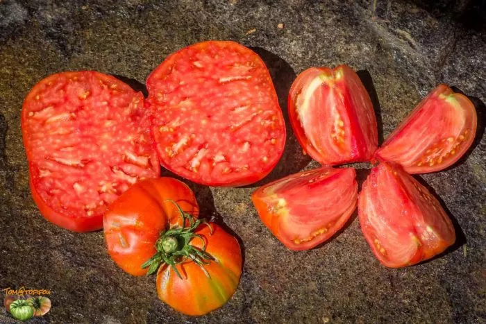 severnaya-korona-9-170405