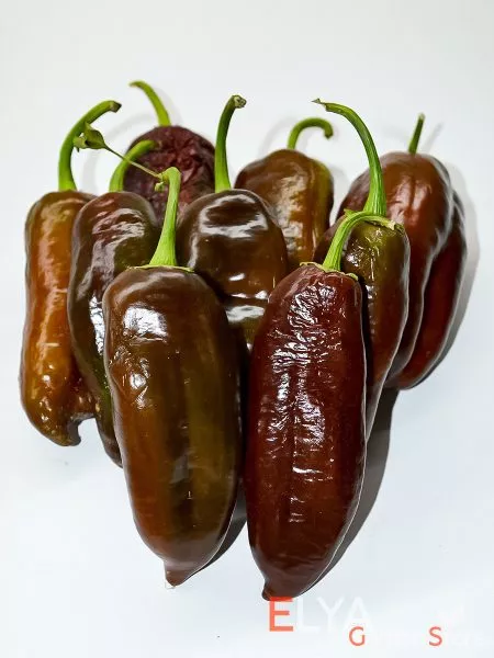 shokoladnyy-georgesku-1-179913