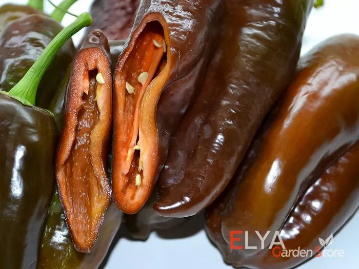 shokoladnyy-georgesku-3-179913