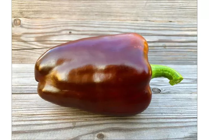 shokoladnyy-georgesku-4-179913