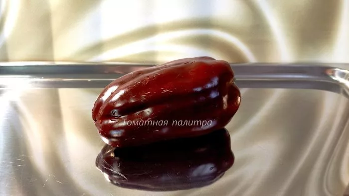 shokoladnyy-georgesku-7-179913