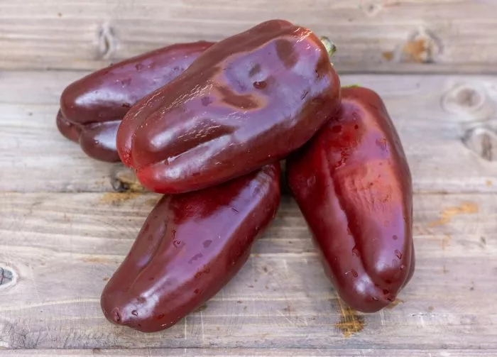 shokoladnyy-georgesku-8-179913