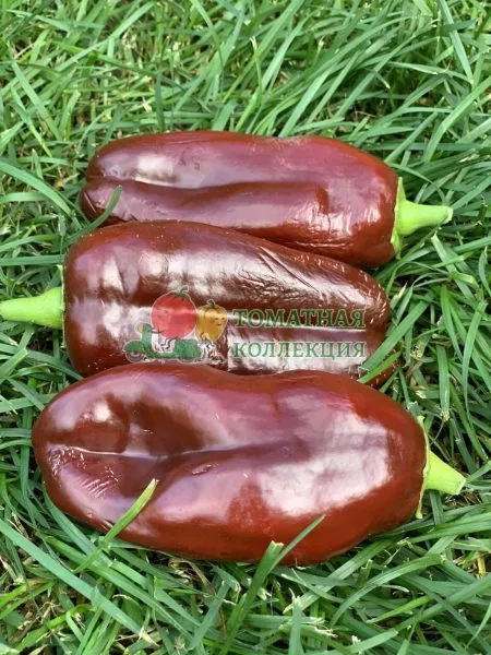 shokoladnyy-georgesku-main-179913