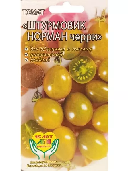 shturmovik-norman-3-171880