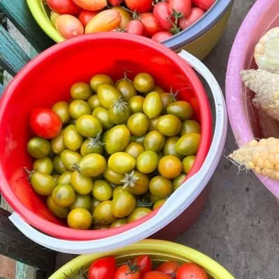 shturmovik-norman-8-171880