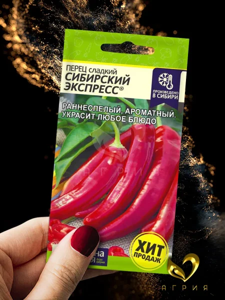 sibirskiy-ekspress-2-186426