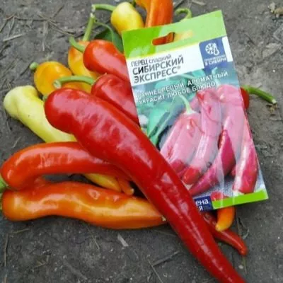 sibirskiy-ekspress-7-186426