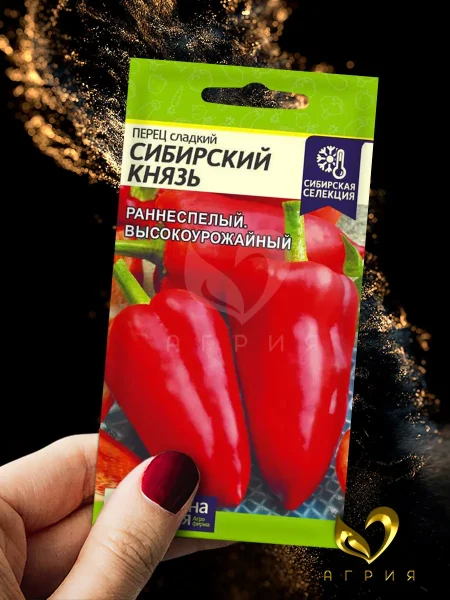 sibirskiy-knyaz-3-184368