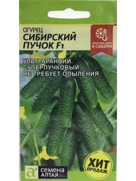 sibirskiy-puchok-1-200749