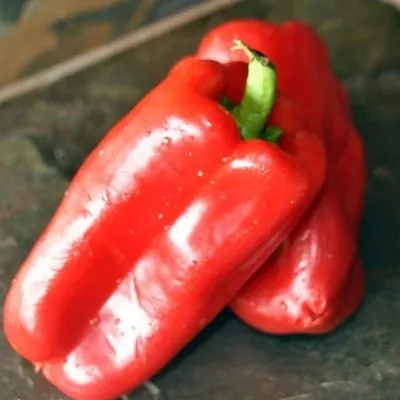 sibirskiy-salyut-2-183458