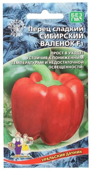 sibirskiy-valenok-1-181274