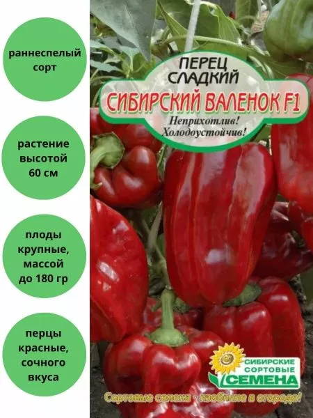 sibirskiy-valenok-2-181274