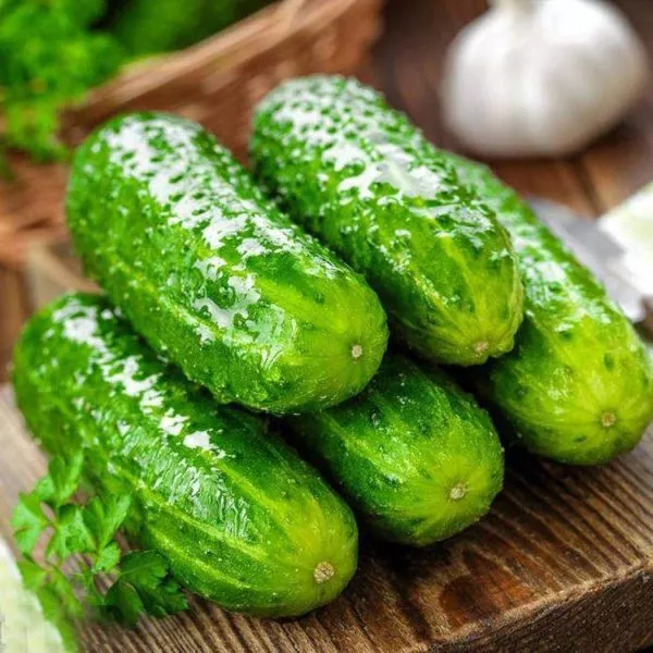 sibirskiy-vyugovey-3-200765