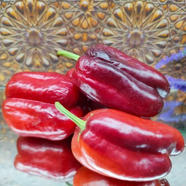 sirenevyy-tuman-4-184513