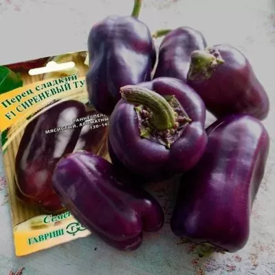 sirenevyy-tuman-6-184513