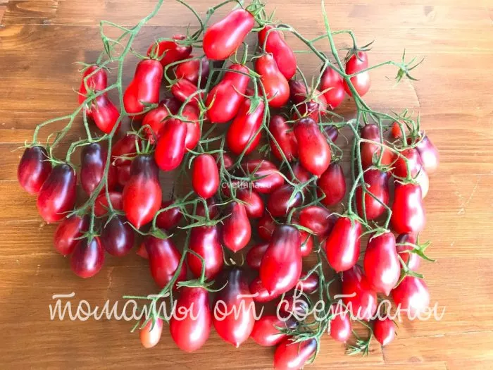 skazochnaya-feya-10-171976