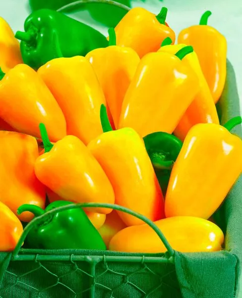 sladkiy-moy-oranzhevyy-1-190787