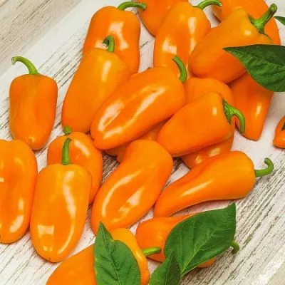 sladkiy-moy-oranzhevyy-6-190787