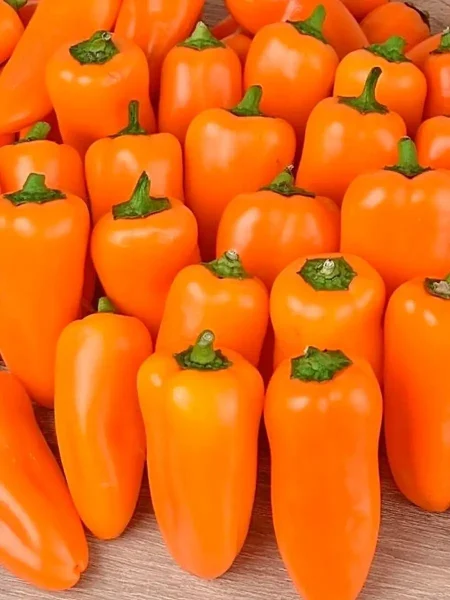 sladkiy-moy-oranzhevyy-main-190787