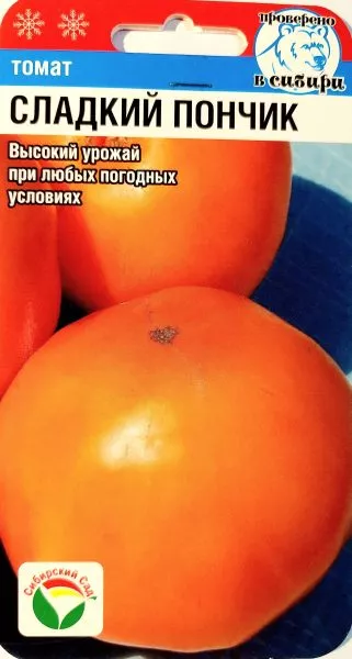 sladkiy-ponchik-1-172424