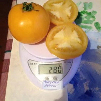 sladkiy-ponchik-4-172424