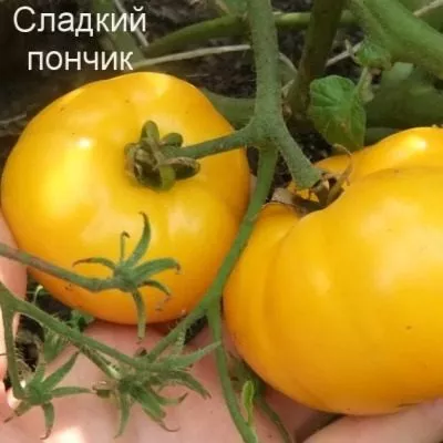 sladkiy-ponchik-5-172424