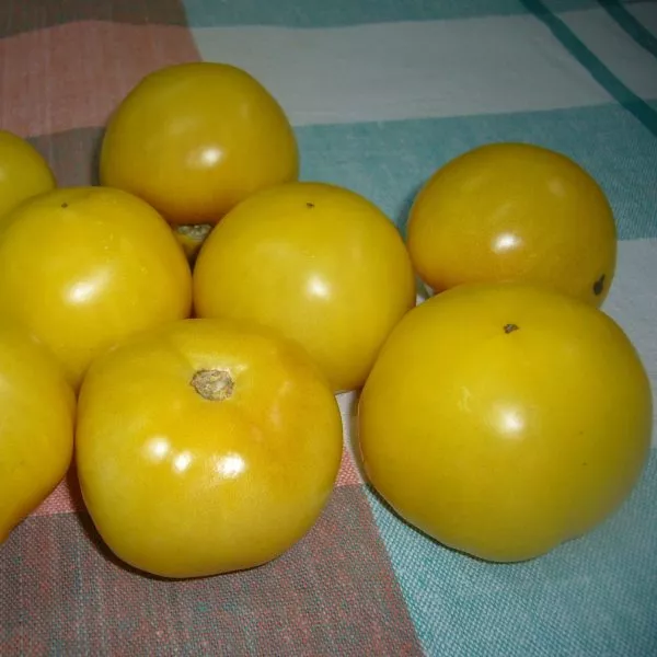 sladkiy-ponchik-main-172424