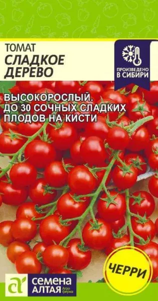 sladkoe-derevo-1-172530