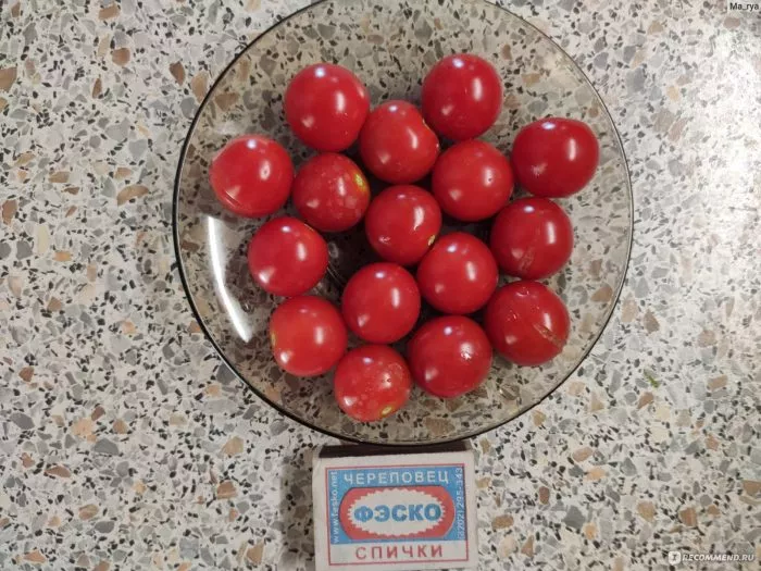 sladkoe-derevo-main-172530