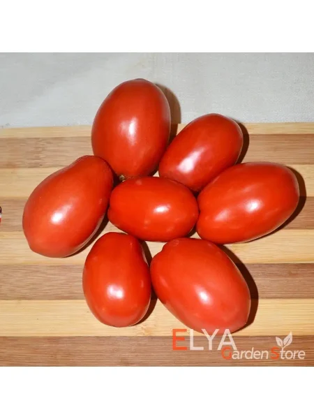 slivka-bendrika-krasnaya-11-176467