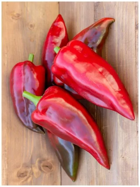 sofiyskaya-kapiya-5-190457