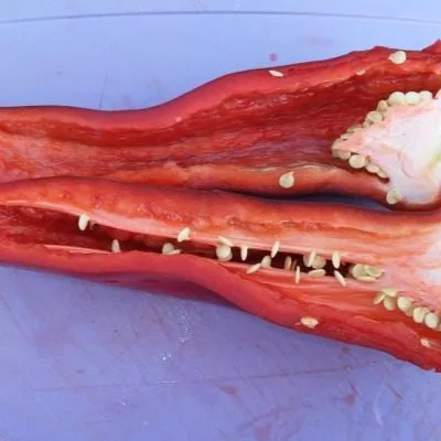 sofiyskaya-kapiya-9-190457