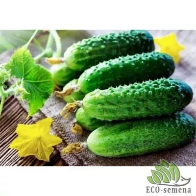 sosedu-na-zavist-3-196319