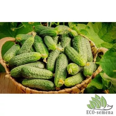 sosedu-na-zavist-4-196319