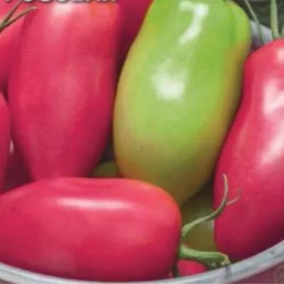 sosulka-rozovaya-6-172620