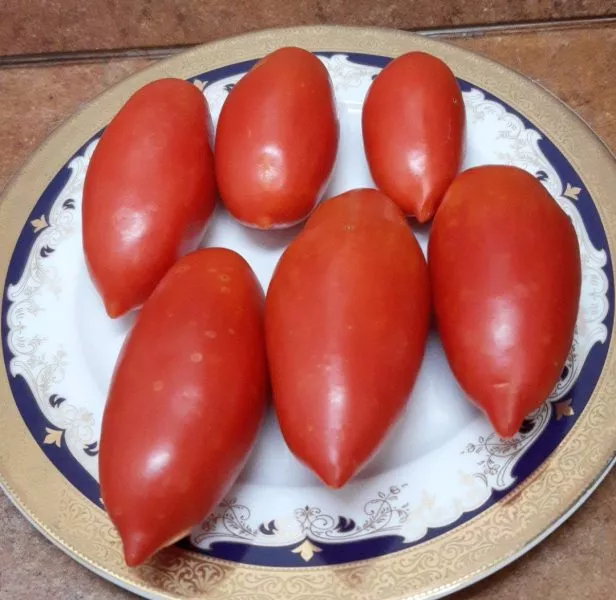 sosulka-rozovaya-main-172620