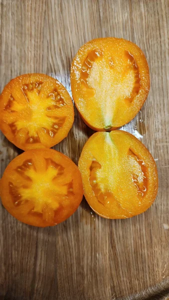 staromodnyy-koshelek-3-170767