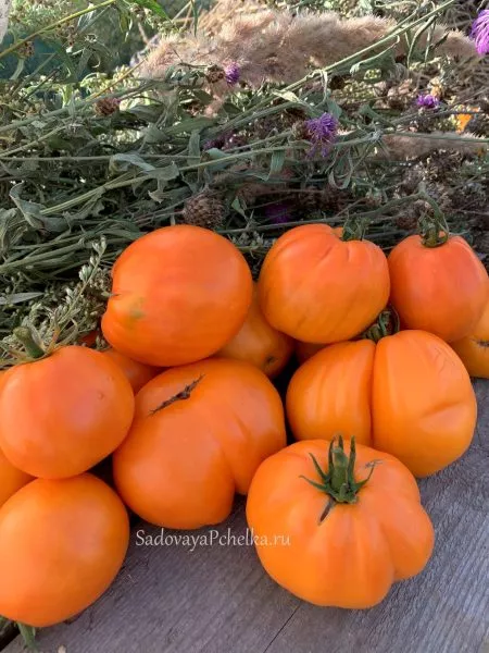 staromodnyy-koshelek-4-170767