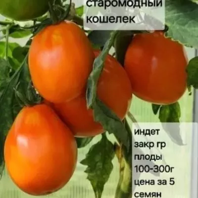 staromodnyy-koshelek-5-170767