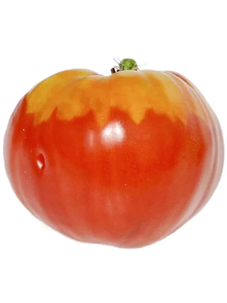 strastnoe-serdtse-entoni-1-175549