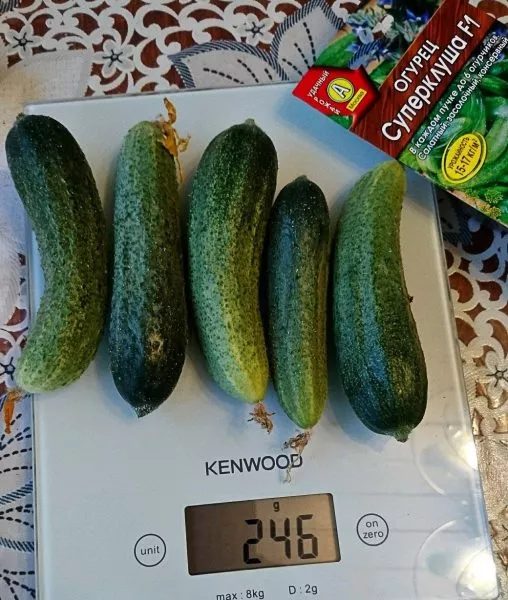 superklusha-1-198294