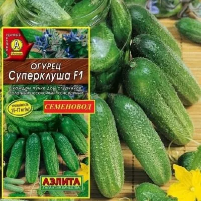 superklusha-8-198294