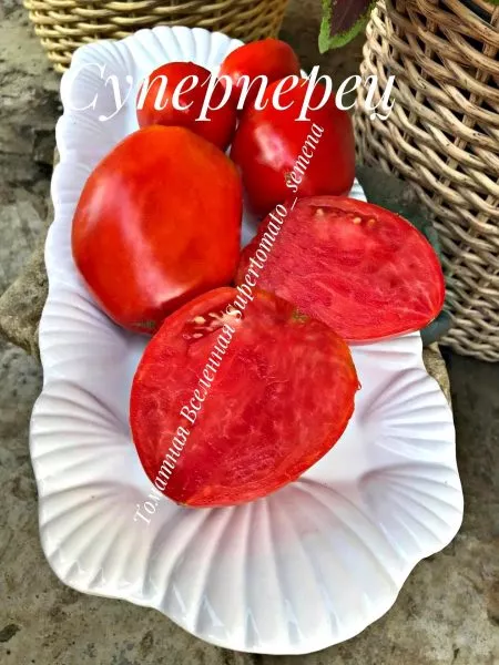 superperets-2-175343