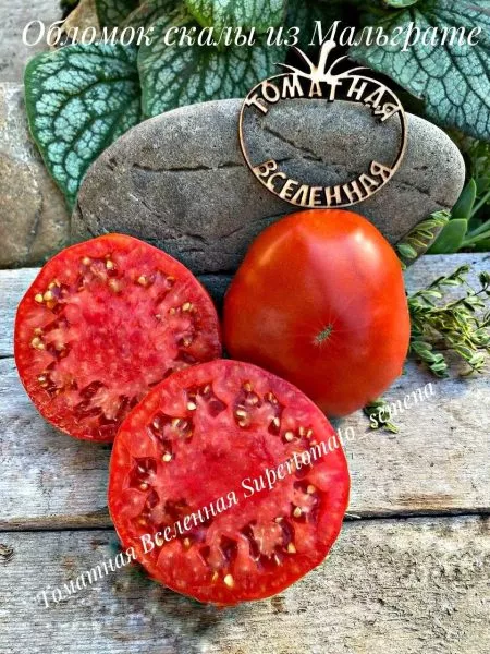 superperets-5-175343