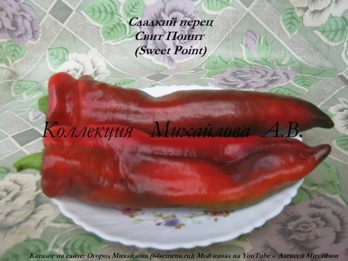 svit-poynt-10-179492